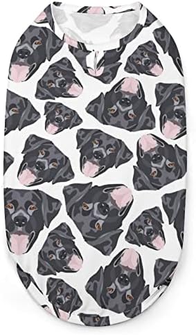 Roupas de casaco de cachorro de goleto de goleto de goleto de cachorro do Labrador preto para pequenos cães e gatos