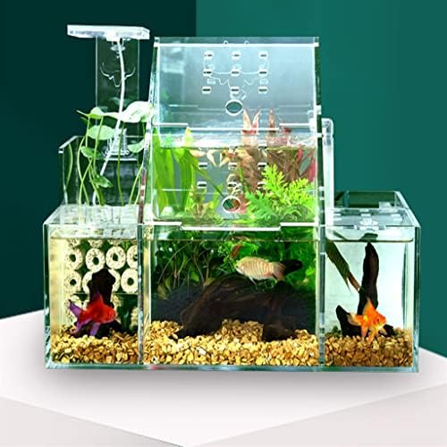 UXZDX Tamanho grande aquário Tanque de peixes acrílico Caixa de isolamento Pequeno caixa de reprodução transparente