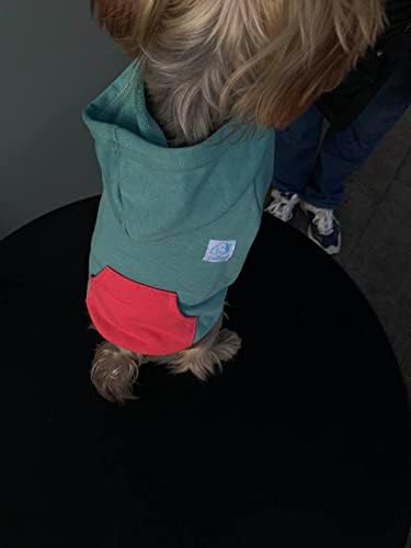 Hoodies de cachorro Green Szat Pro Green Szat Pro, roupas de cachorro algodão para cães e gatos pequenos, suéters