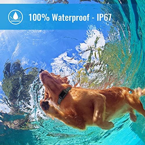 Collar de choque de Petainer para cães - colarinho eletrônico de treinamento de cães à prova d'água com 3 modos de treinamento