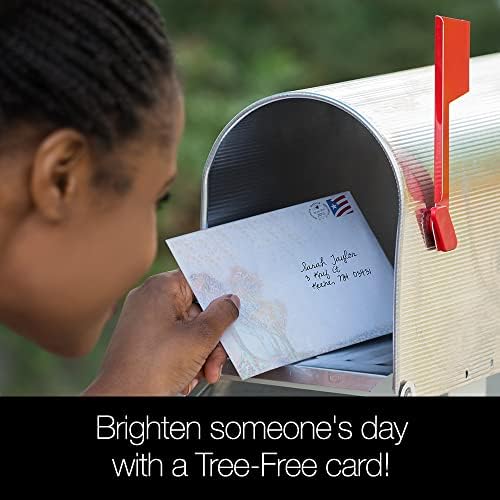 Saudações sem árvores 8 Pack Card Sorteamento com envelopes correspondentes, ecológicos, fabricado nos EUA, papel