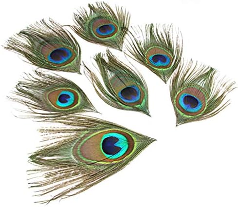 TtndStore 20pcs Real Peacock Feathers Eye aparado de 10 a 15 cm/4-6 polegadas penas de olho de pavão para o casamento de acessórios