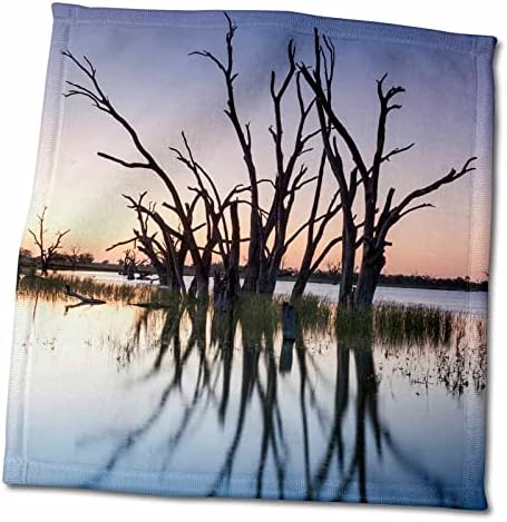3drose Australia, Murray River Valley, Lake Bonney, árvores petrificadas, pôr do sol - toalhas