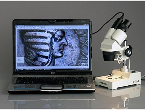 Microscópio estéreo binocular AMSCOPE SE303-P, ampliação de 10x e 30x, objetivos de 1x e 3x, iluminação de tungstênio, placa de estágio preto/branco reversível, suporte de pilar, 110V