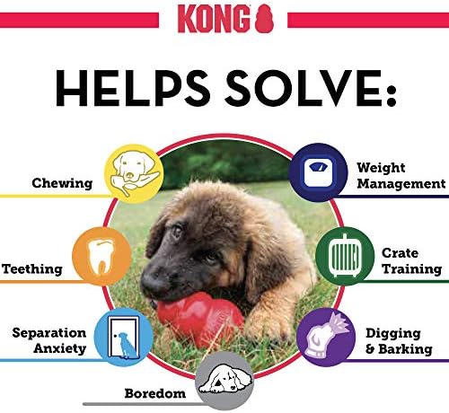 Kong - Filhote de borracha de dentição natural de brinquedo - divertido de mastigar, perseguir e buscar - filhotes