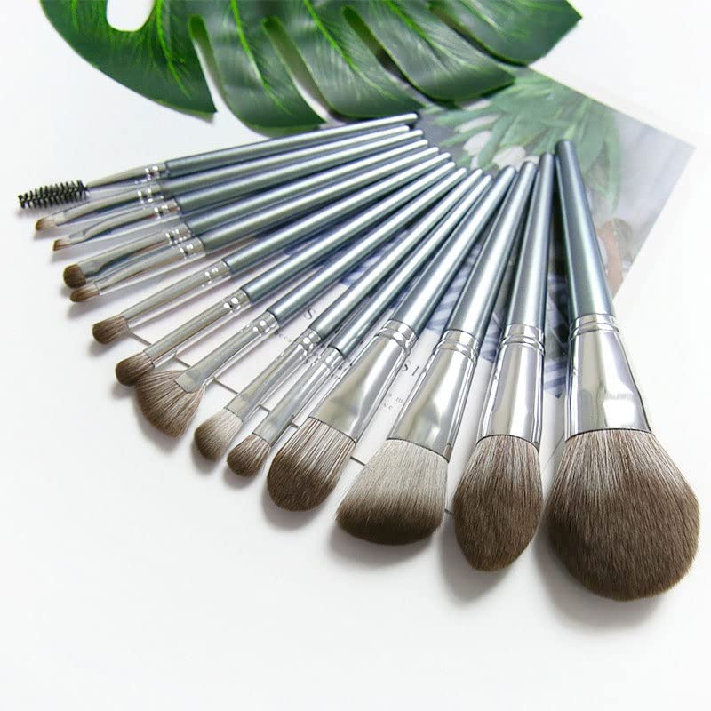 Sdgh 14 pincéis Definir conjunto completo de escovas de pó soltas Ferramentas de beleza de escovas de sombra