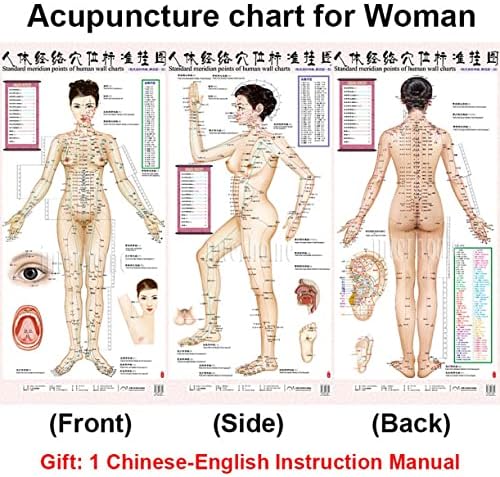 WELLIETR 2 estilo mulher e homem padrão de acupuntura Meridian Points Chart e Zhenjiu Moxibustion Acuppoint Massage