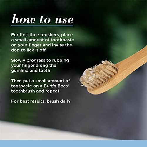 Burt's Bees Natural Care Oral Cuidado para filhotes, Tubo de 2,5 oz de 2,5 oz e escova de bambu | Treinamento de filhotes escova de dentes e pasta de dente com óleo de coco