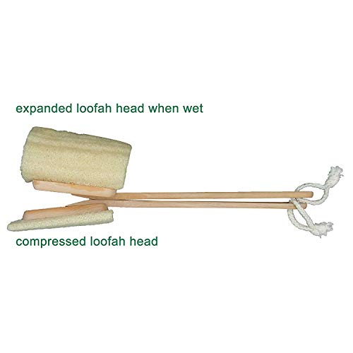 Pacote de 3 pacote de esfoliação natural loofah luffa push de banho em um bastão - com longa alça de madeira pincel