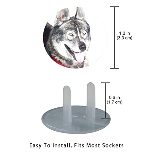 Huskie Dog Funny Animal Outlet Tamas 24 pacote - tampas de plugue de segurança para bebês - Durável e constante - à prova de crianças