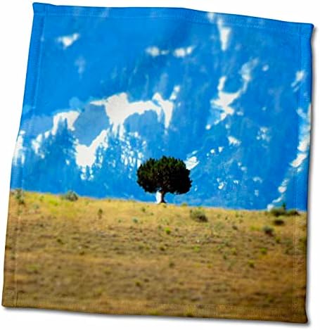 3drose uma árvore apanhada à distância que parece em miniatura em uma colina - toalhas