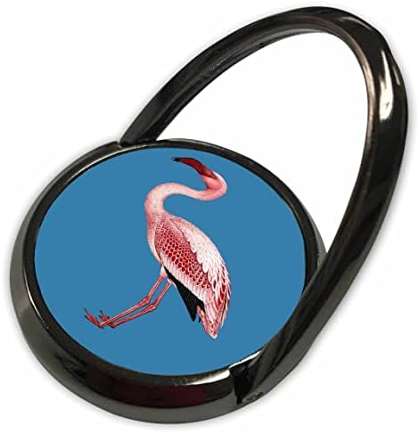 3drose rosa flamingo isolado arte vetorial em azul - anéis telefônicos