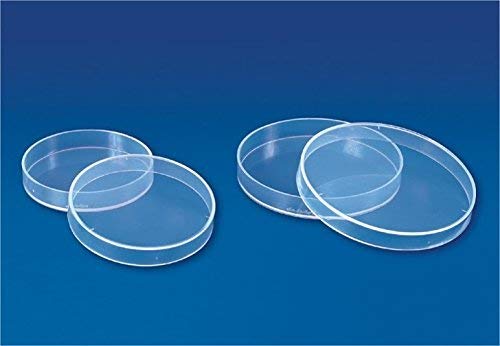AjantaExports Petri Dish 100 mm Equipamento médico e laboratório