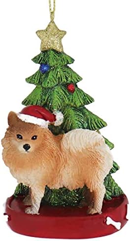 Pomeraniano com ornamento de árvore de Natal, resina para personalização
