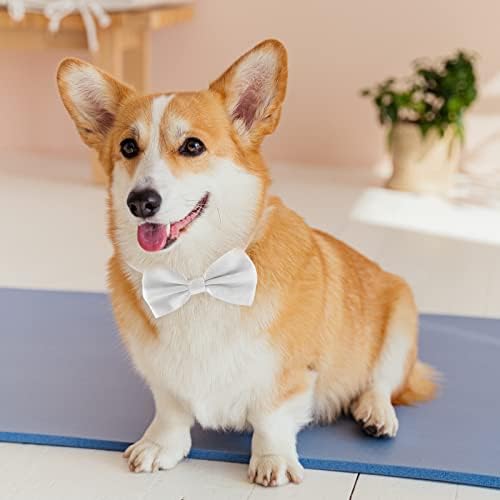 Gravata borboleta para cães para cães grandes, colares formal de cão formal Koolmox para cães de cachorro para cães de