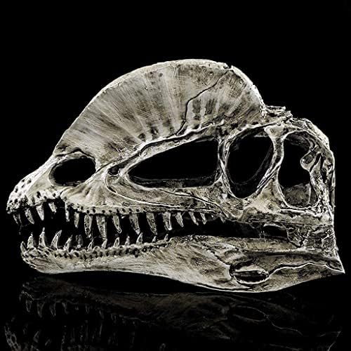 Dinosaur Dilophosaurus Skull Replica Skeleton Modelo Aquário Ornamento Decoração de casa 2 colorido - Branco, 18 cm