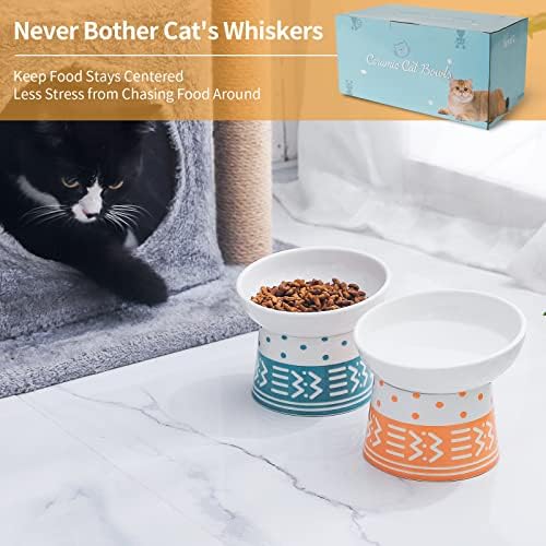 Tigelas de gato levantadas de cerâmica, conjunto de tigelas de gato e tigelas de água inclinadas, estresse por porcelana