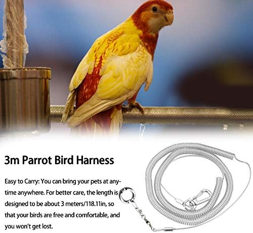 Luckycycycy Pet Bird Anklet, Parrot Foot Chain 3M Ultra-Light Parrot Birt Churness Leash