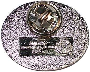 Aminco NCAA Unisex-Adult Oval Pin