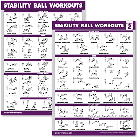 Palace Learning 2 Pack - Exercícios de treino de bola de ioga Volume 1 e volume 2 - Rotina de bola de estabilidade - gráficos de fitness