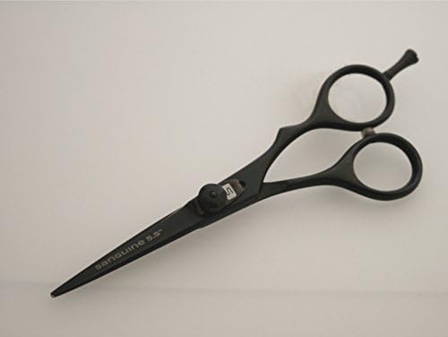 Tesoura profissional de cabelo, tesoura de cabeleireiro, tesouras de barbeiro de estilo de deslocamento - 5,5 polegadas - preto + estojo de apresentação