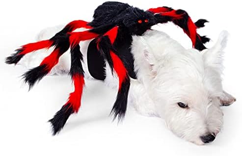 Trajes de cães de Halloween Tuhimo para aranha vermelha preta pequena ou média
