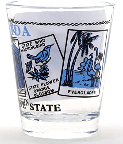 Cenário da Flórida Blue Classic Design Shot Glass
