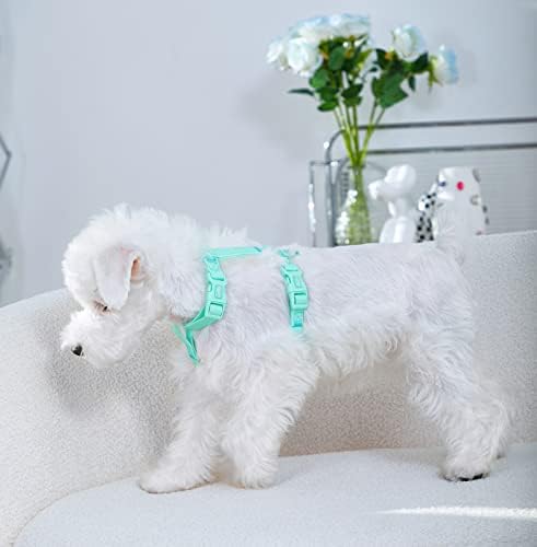 Arnês de cães à prova d'água, arkika Fashion Color Fresh Dog Arness para caminhada para caminhar para cães verde s