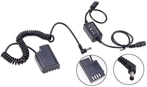 FOTGA Power Bank Cabo do adaptador de energia USB tipo C para saída DC + DMW-BLF19 Bateria fictícia para Panasonic GH3 GH4