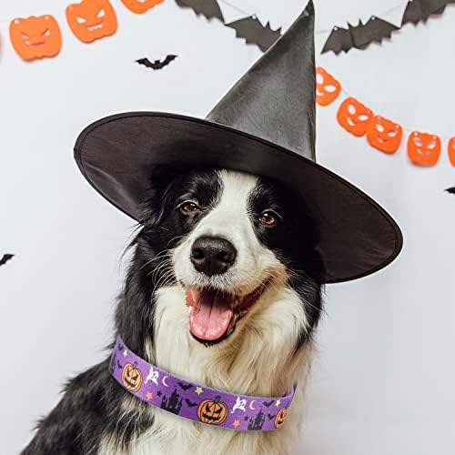 TDTOK Halloween Dog Collar, Soft Comfy Conffy Halloween temático de cachorro com casca de caveira fantasma assustadora Hat de bruxa Hat Hat Pattern Padrão de Halloween Dog Collar para cães pequenos médios grandes