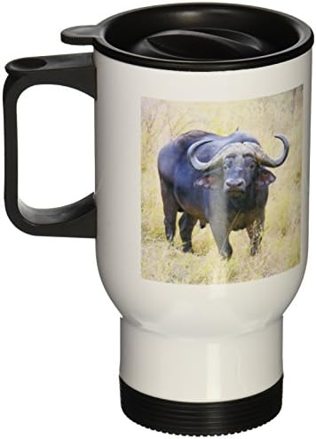 3drose África do Sul Zulu nyala gr-cape buffalo-af42 len0176-lisa s Engelbrecht Travel Canela, 14 onças