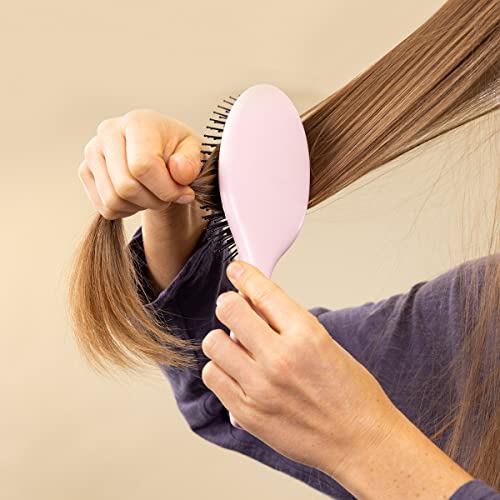 L'Ange Hair Beech Wood Wood Oval Brush | Massageador do couro cabeludo e pincel de destrancação | Resistente ao calor | Bom para todos os tipos de cabelo | Corar