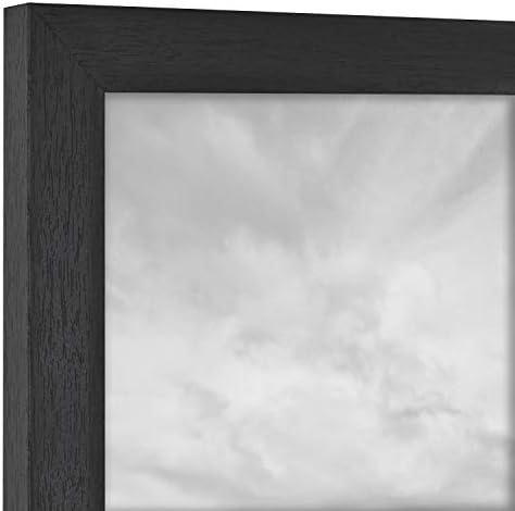 MCS Studio Gallery Frame, Natural Woodgrain, 20 x 28 pol.