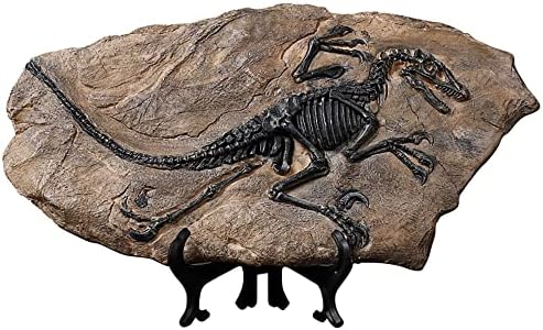 Dinosaur Fósseis Decoração de Aquário Decoração Decoração Artificial para Ornamento de Desktop de Tanques de Peixes