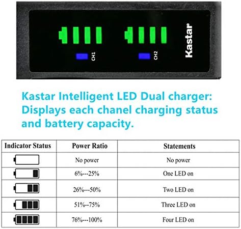KASTAR CRG-D08S LTD2 Carregador de bateria USB compatível com Panasonic PV-DV100, PV-DV100K, PV-DV101, PV-DV102, PV-DV103, PV-DV121,