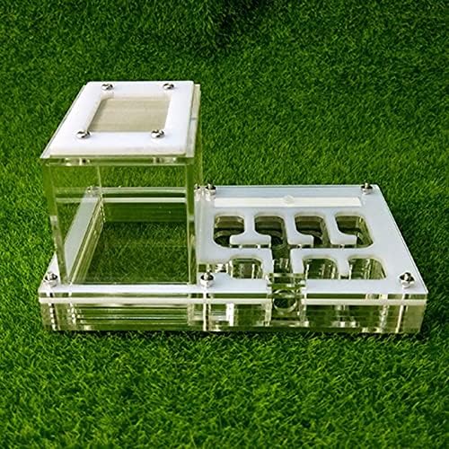 Ninho integrado de acrílico da fazenda de formigas syxysm com caixa de alimentação hidratante ninho de ninho de formiga