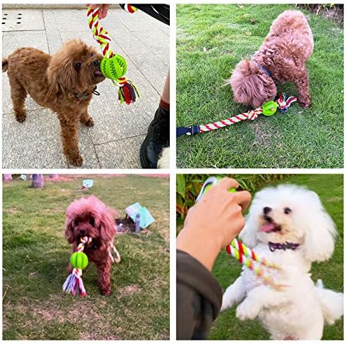 Bungee de cachorro Toy, brinquedos para cães ao ar livre para cães grandes ou pequenos ， Tugger durável para cabo de guerra com choche