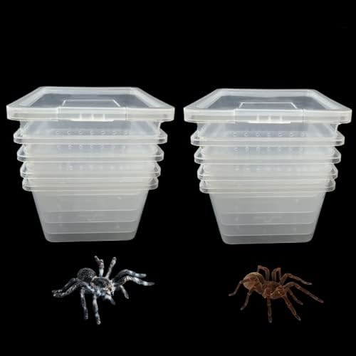 10 PCs acrílico Terrários de aranha de insetos acrílico Caixa de criação Recipiente de choque, tamanho pequeno