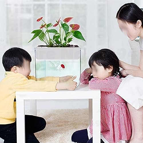 Aquário ecológico de mesa de peixe de plástico transparente WSSBK para decoração interna