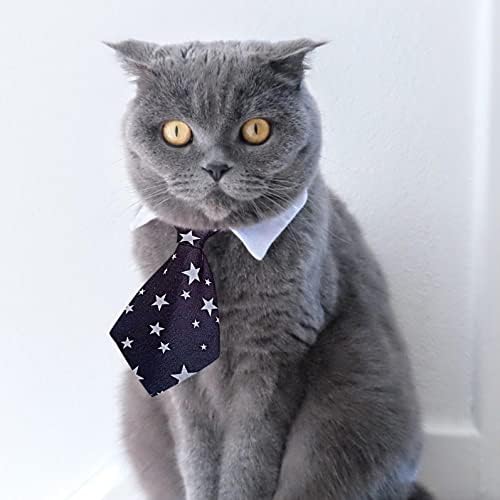 Mllkcao fofo de cachorro gatinho gravata borbole