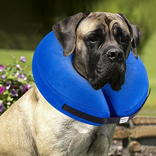 Colar inflável protetor de bencmate para cães e gatos - o colar de recuperação de animais de estimação suave não bloqueia o colarinho eletrônico da visão