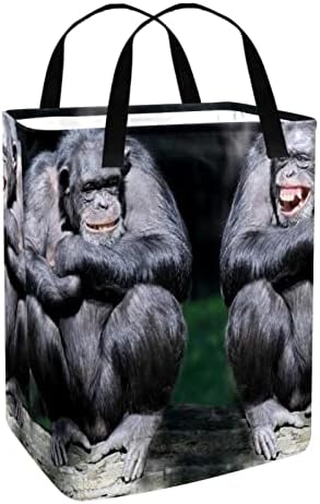 Engraçado Animal Orangotango Orangotango Coloque Lavanderia dobrável, cestas de lavanderia à prova d'água 60L Lavagem de