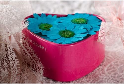 Jyeffort Blue seco Flores prensadas definidas para resina, artesanato de bricolage, fabricação de velas