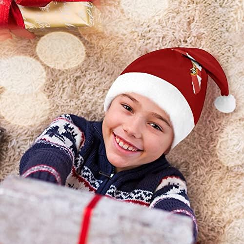 Map de bandeira do estado da Flórida Hat de Natal, chapéu de Natal e bons chapéus de Papai Noel com borda de pelúcia e decoração de natal de conforto