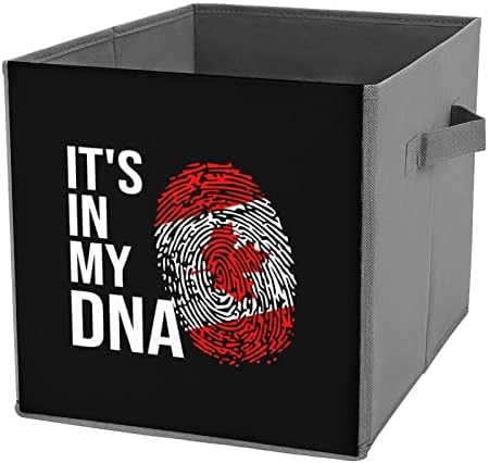 Está nos meus cubos de armazenamento de bandeira canadense de DNA com alças dobráveis ​​caixas organizadoras de