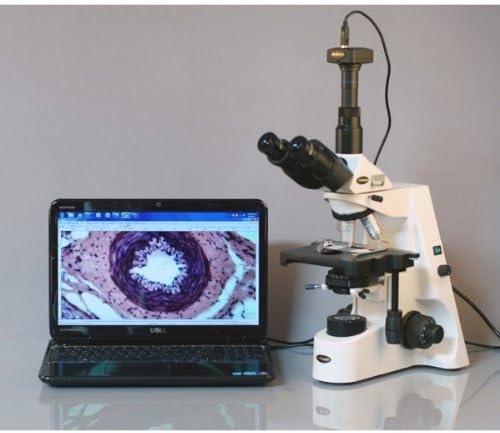 AMSCOPE T660B Microscópio de composto trinocular profissional, ampliação 40x-2000x, oculares super em largura WH10X e WH20X, objetivos