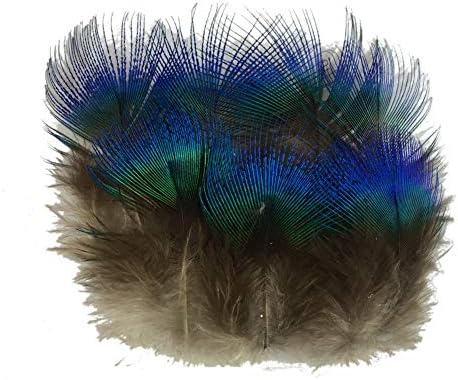 SOWDER 50pcs azul pavão penas de plumagem 1-3 polegadas decoração de casamento em casa