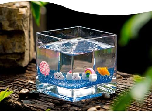 Personalidade transparente de vaso de flores criativo Tanque de peixes de vidro de vidro Aquário em casa Sala de estar para desktop