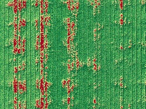 Câmera de mapeamento de mapir Survey3n ndvi RGN RGN+Verde+filtro infravermelho próximo 8.25mm f/3.0 Sem distorção ângulo estreito GPS Tela de toque de toque 2k 12mp HDMI WiFi PWM Trigger Drone Mount Mount Drone Mount Mount Drone Mount