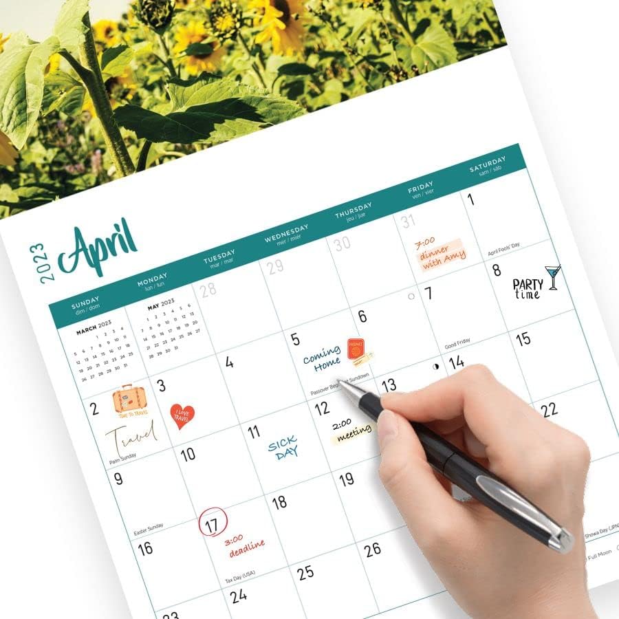 2023 Girassóis calendário de parede mensal por dia brilhante, 12 x 12 polegadas, bela fotografia externa de natureza floral cênica